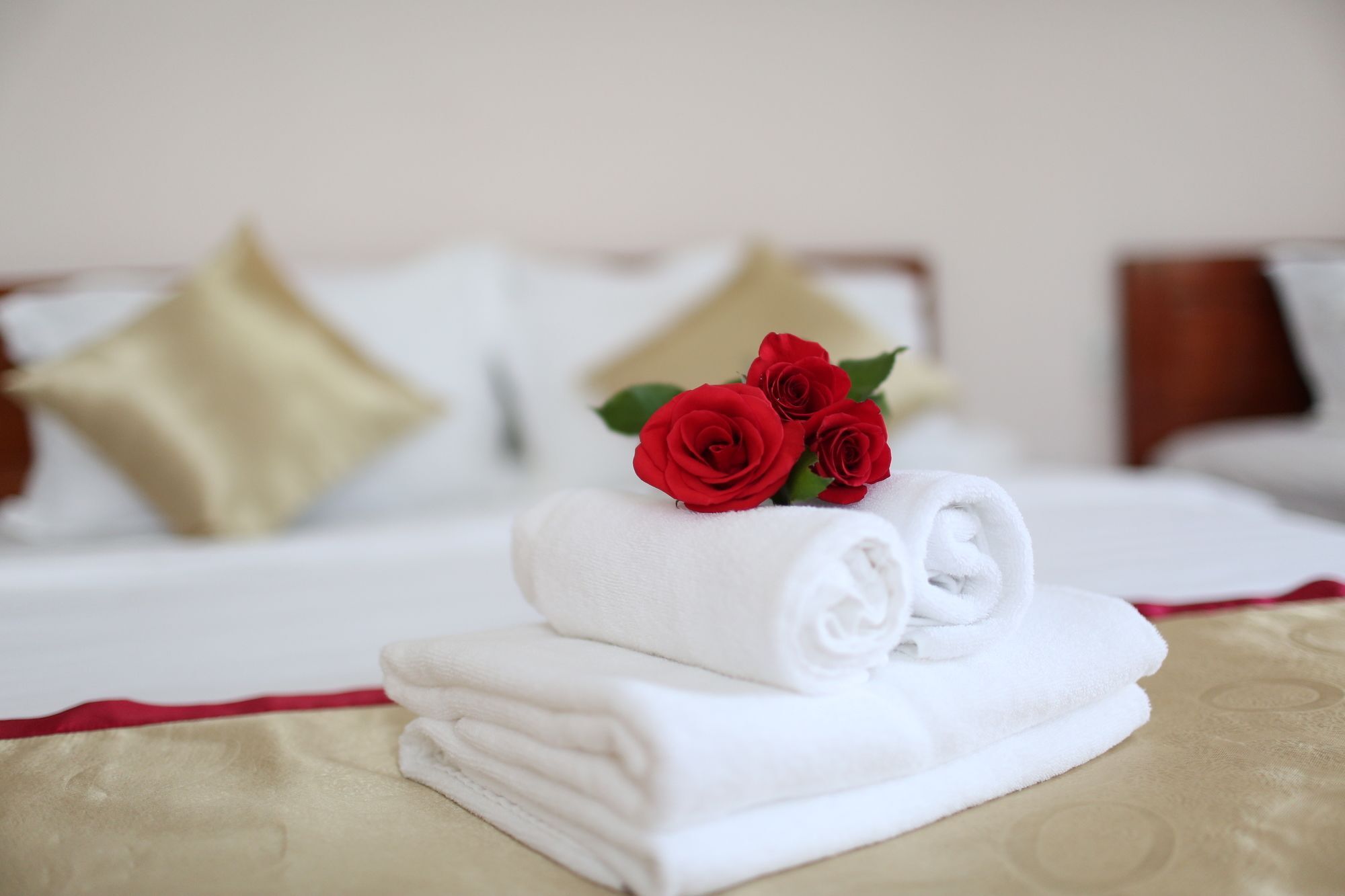 דואונג דונג Thuan Hai Hotel מראה חיצוני תמונה